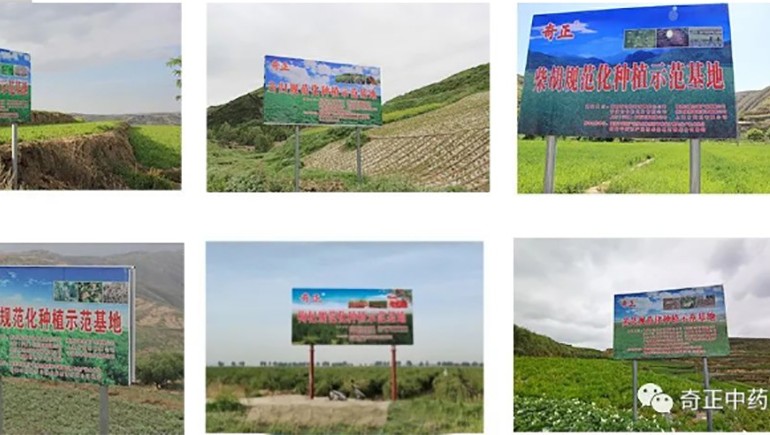 隴西奇正藥材有限責(zé)任公司入選第一批國家中藥材標準化與質(zhì)量評估創(chuàng)新聯(lián)盟GAP重點培育單位